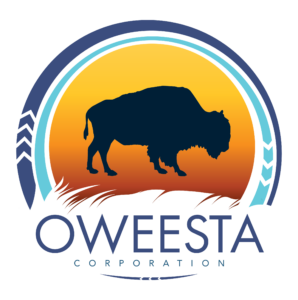 Oweesta logo